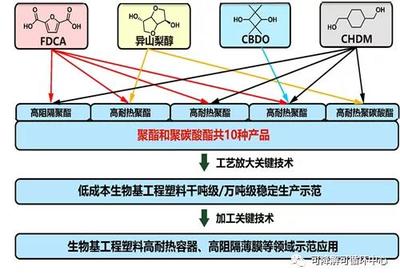 中科院寧波所生物基高分子團隊獲批國家重點研發(fā)計劃項目，推動生物基材料技術(shù)研發(fā)