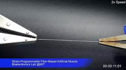 MIT研發(fā)“人造肌肉纖維” 生物基材料技術(shù)助推西部世界式超高仿真機器人成為現(xiàn)實